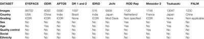 Ophthalmology and Artificial Intelligence: Present or Future? A Diabetic Retinopathy Screening Perspective of the Pursuit for Fairness